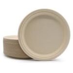 Bagasse Paper Plates (Sugarcane Pulp Plates) - Image 3
