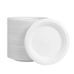Bagasse Paper Plates (Sugarcane Pulp Plates) - Image 2